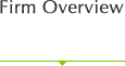 Firm Overview