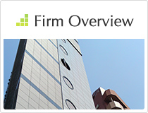 Firm Overview